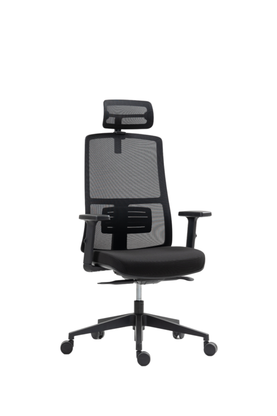 FurniConcepts Lilo Task Chair O2B With Headrest